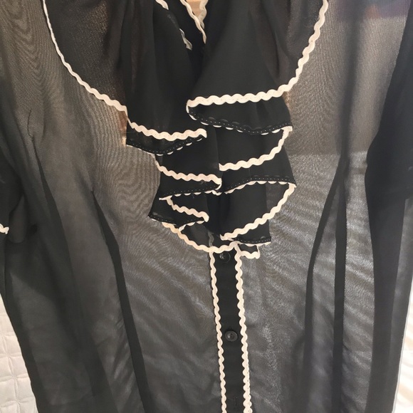 Sheer Blouse - Picture 3 of 6